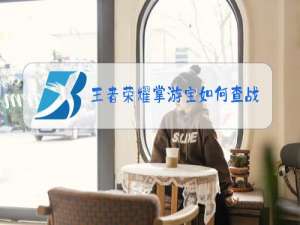 王者荣耀掌游宝如何查战绩