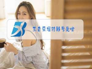 王者荣耀转移号是啥