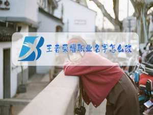 王者荣耀职业名字怎么改