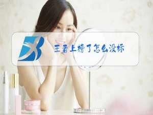 王者上榜了怎么没标