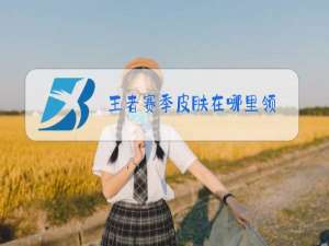 王者赛季皮肤在哪里领