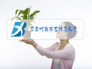 王者时刻不支持怎么开