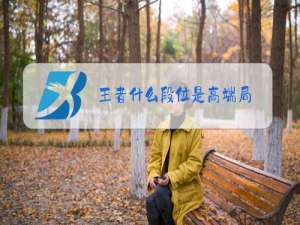 王者什么段位是高端局