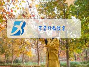 王者什么改名