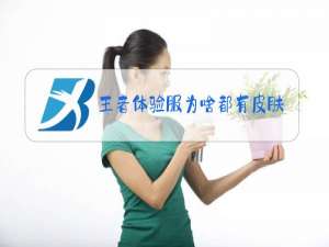 王者体验服为啥都有皮肤