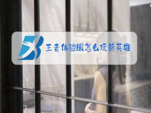 王者体验服怎么玩新英雄