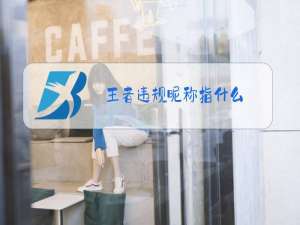 王者违规昵称指什么