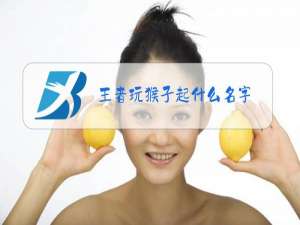 王者玩猴子起什么名字