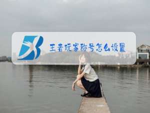 王者玩家称号怎么设置