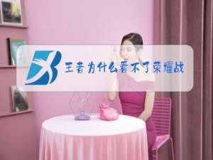 王者为什么看不了荣耀战力