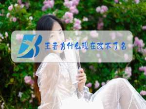 王者为什么现在改不了名字