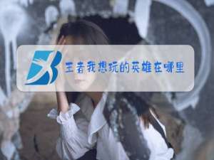 王者我想玩的英雄在哪里设置