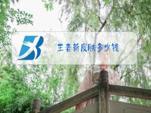 王者新皮肤多少钱