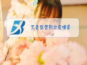 王者信誉积分在哪看