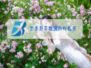 王者新英雄澜用什么买
