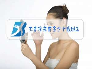 王者现在有多少个皮肤2021