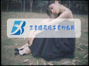 王者隐藏玩家有什么用