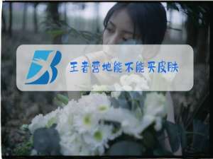 王者营地能不能买皮肤