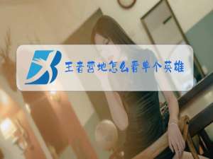 王者营地怎么看单个英雄的金牌