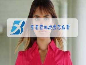 王者营地战力怎么看