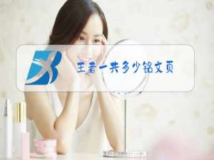 王者一共多少铭文页