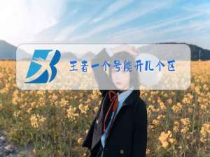 王者一个号能开几个区