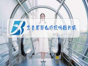 王者有那么好玩吗图片搞笑