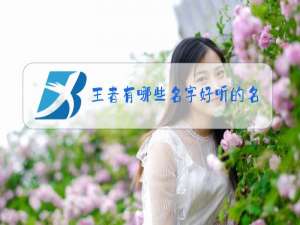 王者有哪些名字好听的名字