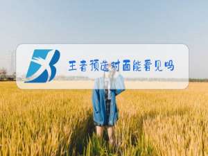 王者预选对面能看见吗