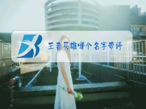 王者英雄哪个名字带婷