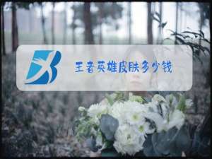 王者英雄皮肤多少钱