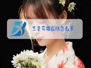 王者英雄皮肤怎么买