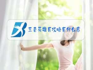 王者英雄有攻略有什么意思