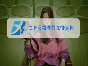 王者英雄音效在哪里换