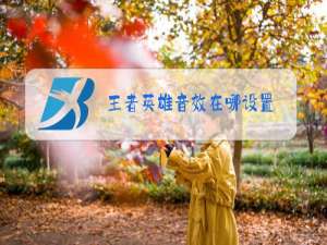 王者英雄音效在哪设置