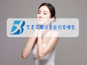 王者英雄语音台词在哪里看