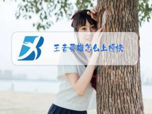 王者英雄怎么上榜快