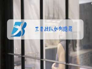 王者战队如何隐藏