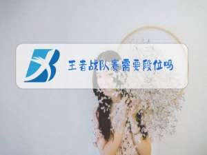 王者战队赛需要段位吗