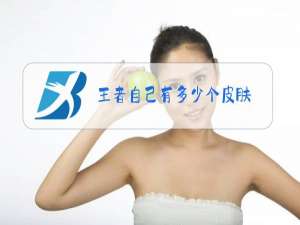 王者自己有多少个皮肤