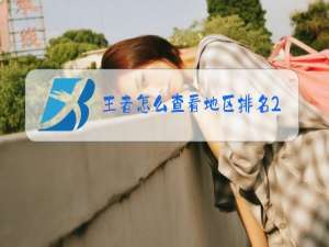 王者怎么查看地区排名2020年版