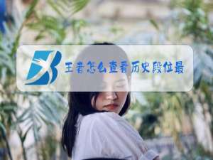 王者怎么查看历史段位最高