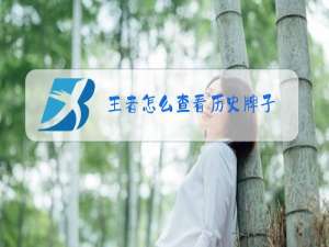 王者怎么查看历史牌子
