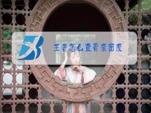 王者怎么查看亲密度