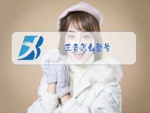 王者怎么登号