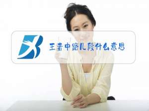 王者中路几段什么意思