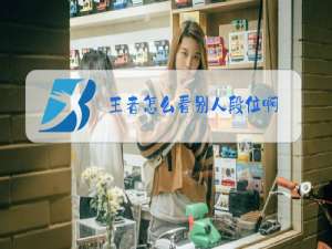 王者怎么看别人段位啊