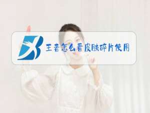 王者怎么看皮肤碎片使用记录