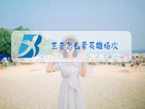 王者怎么看英雄场次