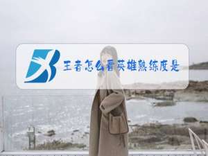 王者怎么看英雄熟练度是多少